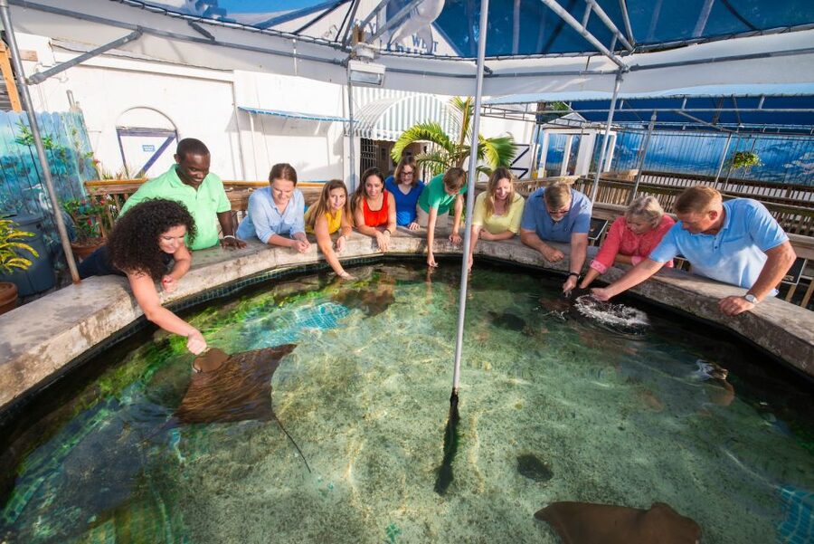Key West Aquarium Tickets - Who will enjoy this aquarium most
