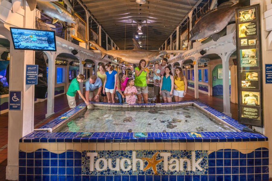 Key West Aquarium Tickets - Small details that improve the visit