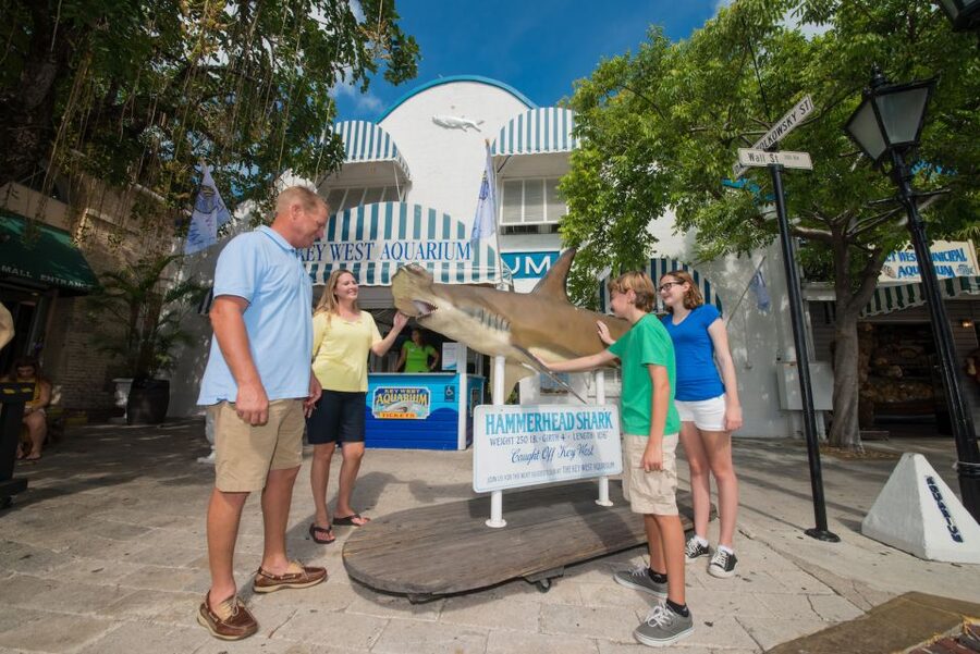 Key West Aquarium Tickets - What you see inside the marine exhibits