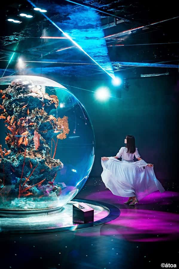 Kobe: Urban Aquarium AQUARIUM×ART átoa Entry Ticket - What makes Kobe’s átoa different from a standard aquarium