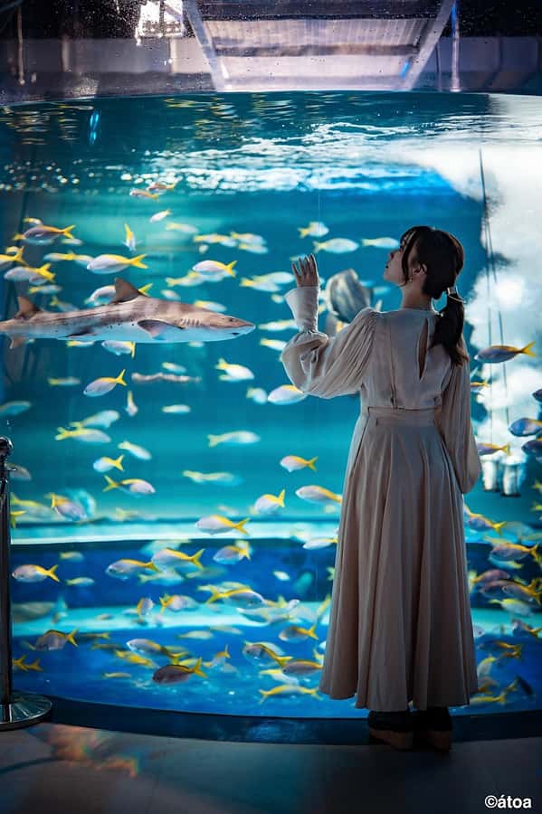 Kobe: Urban Aquarium AQUARIUM×ART átoa Entry Ticket - Eight zones, with art setting the mood