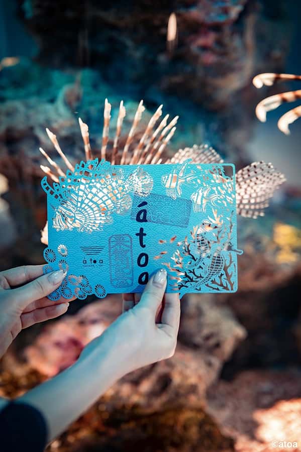 Kobe: Urban Aquarium AQUARIUM×ART átoa Entry Ticket - How long should you allow?