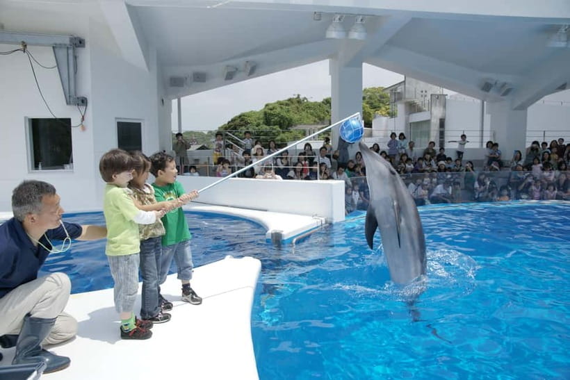 Kujukushima: Aquarium Umikirara Admission Ticket - Key points to know before you go