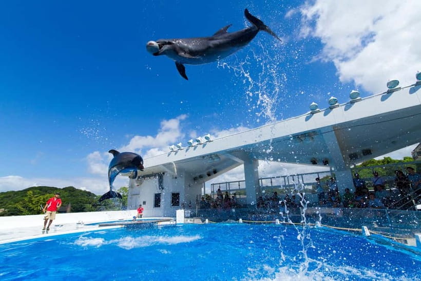 Kujukushima: Aquarium Umikirara Admission Ticket - The Agoya oyster pearl souvenir
