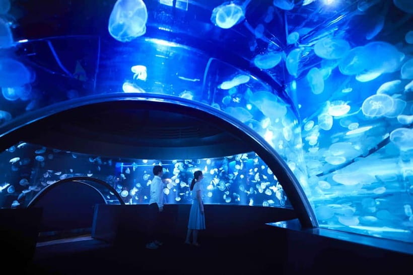 Kyoto Aquarium Admission Ticket - Key points to know before you go