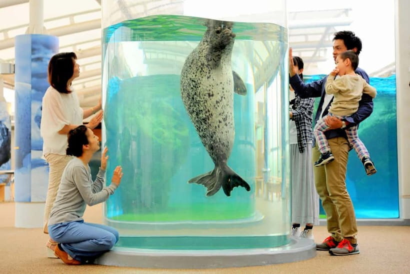 Kyoto Aquarium Admission Ticket - What your one-day admission includes