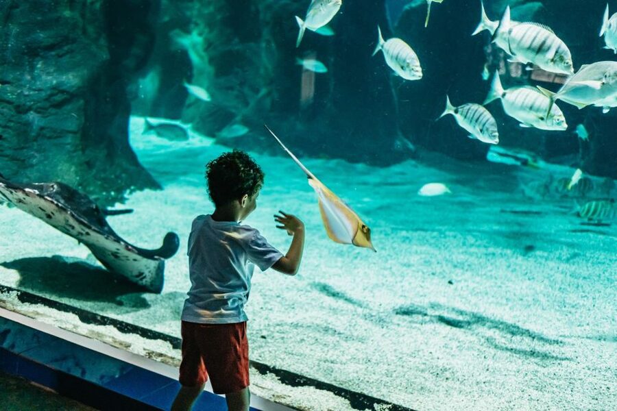 Lanzarote: Aquarium Entry Ticket - Key points to know before you go