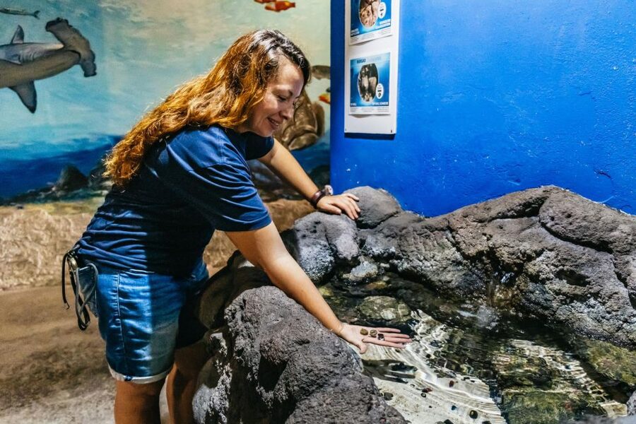 Lanzarote: Aquarium Entry Ticket - Staff, languages, and the visit itself