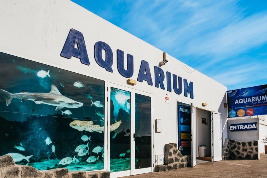 Lanzarote: Aquarium Entry Ticket - What the $18 ticket really gets you