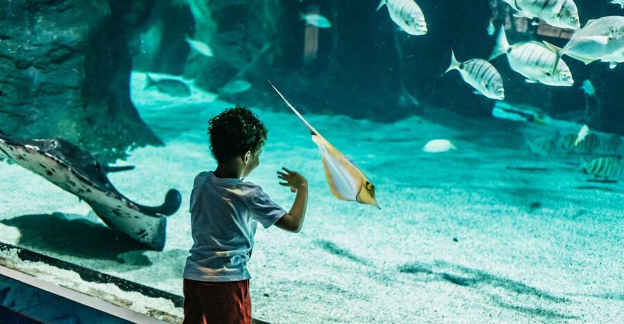 Lanzarote: Aquarium Entry Ticket - Freshwater animals and the axolotl stop