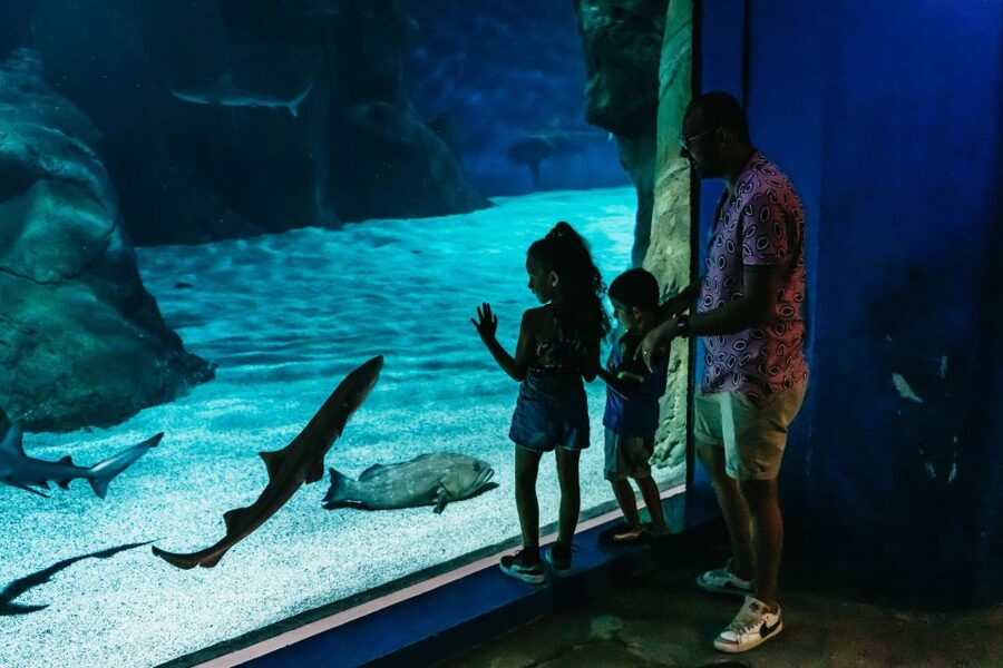 Lanzarote: Aquarium Entry Ticket - The Turtle Rehabilitation Center