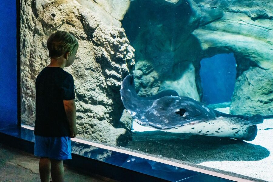 Lanzarote: Aquarium Entry Ticket - How long should you allow?