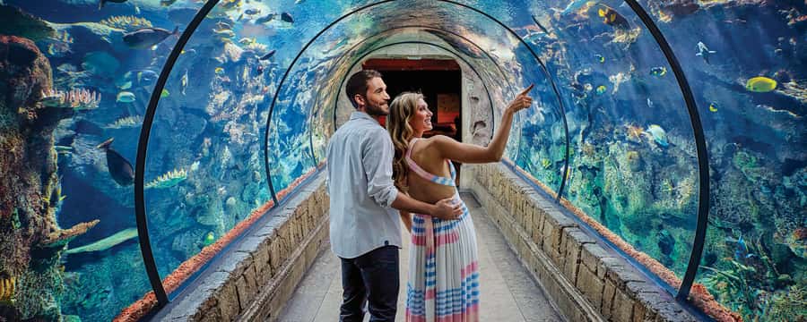 Las Vegas: Shark Reef Aquarium Entry Ticket - Finding Shark Reef inside Mandalay Bay
