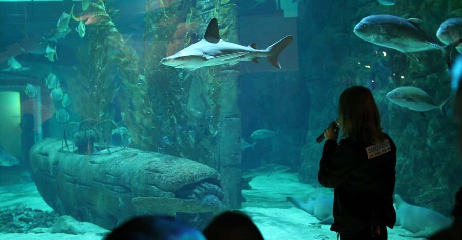 Le Grau-du-Roi: Seaquarium Skip-the-Line Entrance Ticket - Who will enjoy this aquarium most?