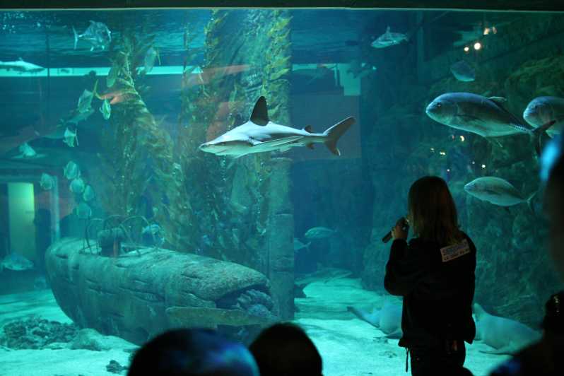 Le Grau-du-Roi: Seaquarium Skip-the-Line Entrance Ticket - The shark center and its 30 species