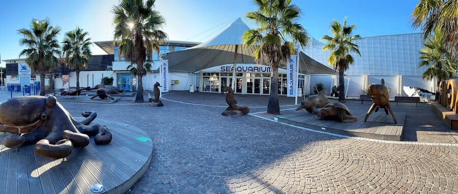 Le Grau-du-Roi: Seaquarium Skip-the-Line Entrance Ticket - The Plastic Invasion exhibition