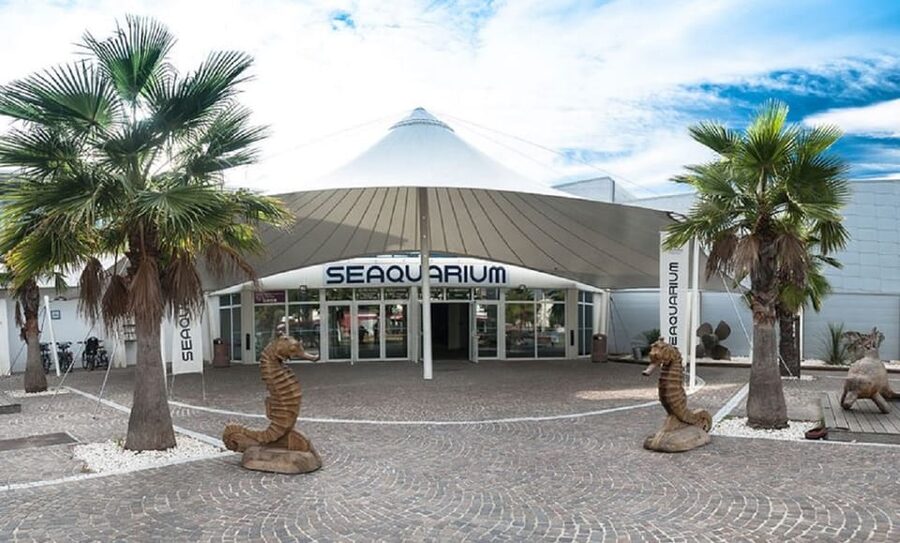 Le Grau-du-Roi: Seaquarium Skip-the-Line Entrance Ticket - A virtual-reality view beneath the sea