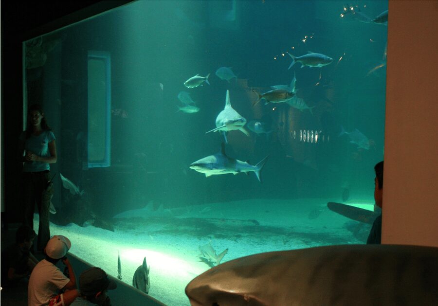 Le Grau-du-Roi: Seaquarium Skip-the-Line Entrance Ticket - What the two-hour visit is really worth