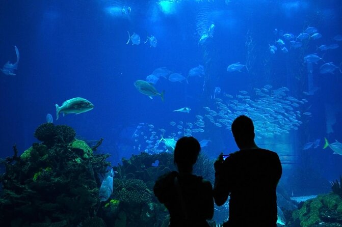 Lisbon Oceanario: Aquarium Entrance Ticket - Why Lisbon Oceanarium works so well