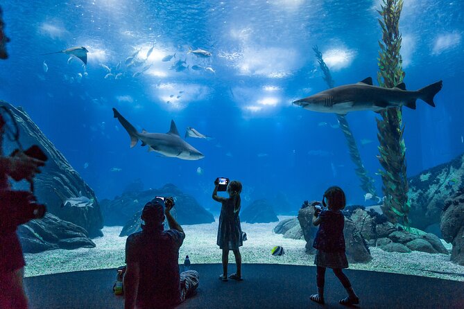 Lisbon Oceanario: Aquarium Entrance Ticket - Four habitats, four different ocean settings