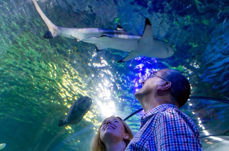 Loch Lomond: Sea Life Entrance Ticket - Starting with Scotland’s lochs