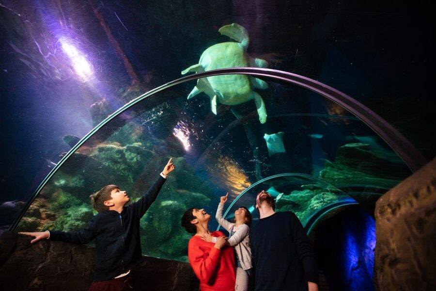 London: Madame Tussauds, London Eye & SEA LIFE Combo Ticket - Three London icons, three very different visits