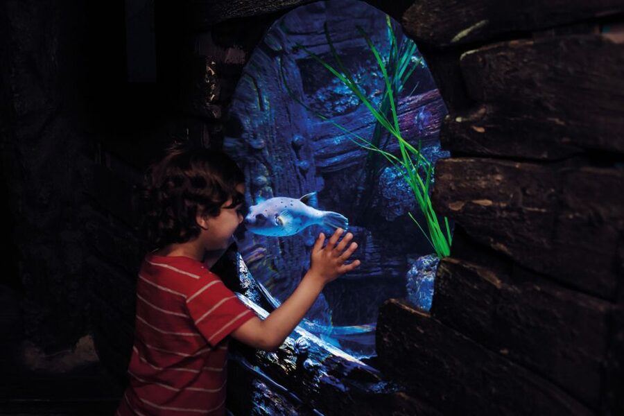 London: Madame Tussauds, London Eye & SEA LIFE Combo Ticket - Madame Tussauds: London’s most playful stop