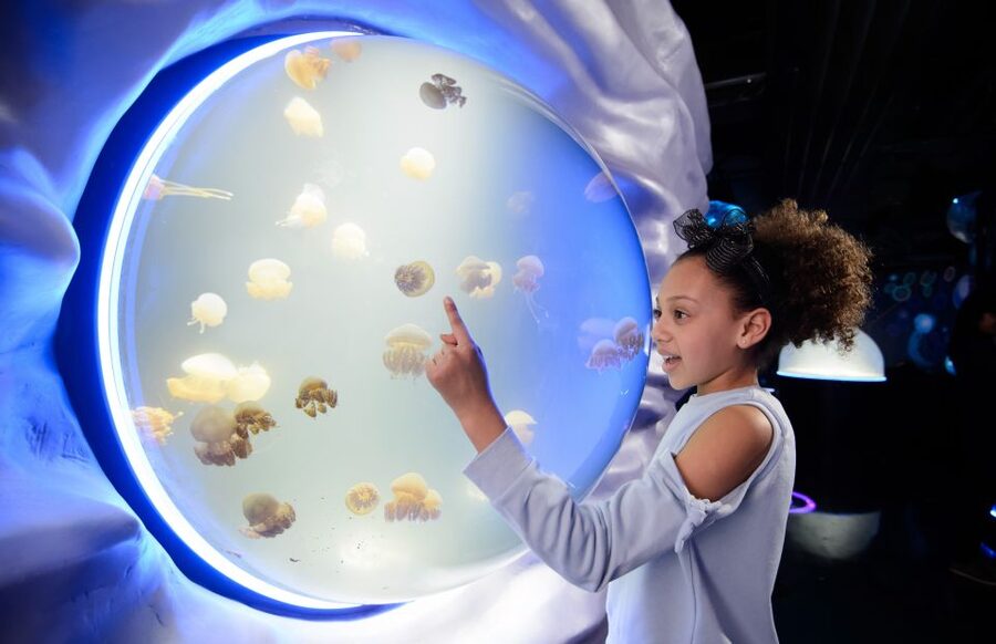London: Madame Tussauds, SEA LIFE and London Dungeon Entry - How this three-attraction ticket works