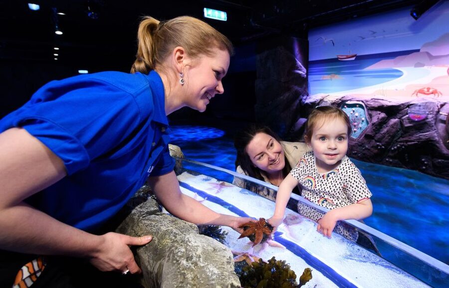 London: Madame Tussauds, SEA LIFE and London Dungeon Entry - Planning the three visits without wasting time