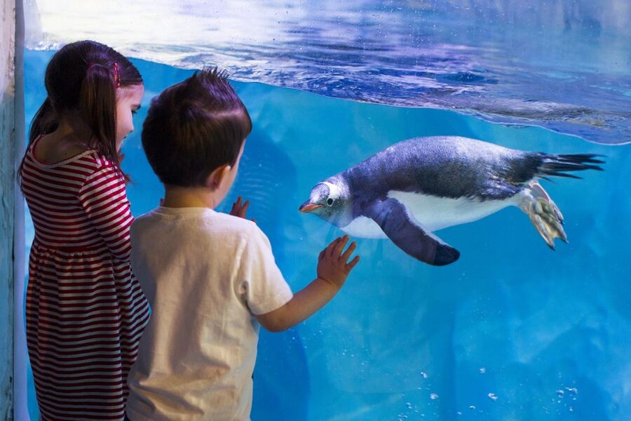 London: Madame Tussauds, SEA LIFE and London Dungeon Entry - Madame Tussauds: start with the red carpet