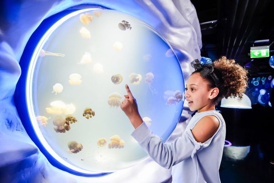 London: SEA LIFE Entry Ticket - Key points to know before you book