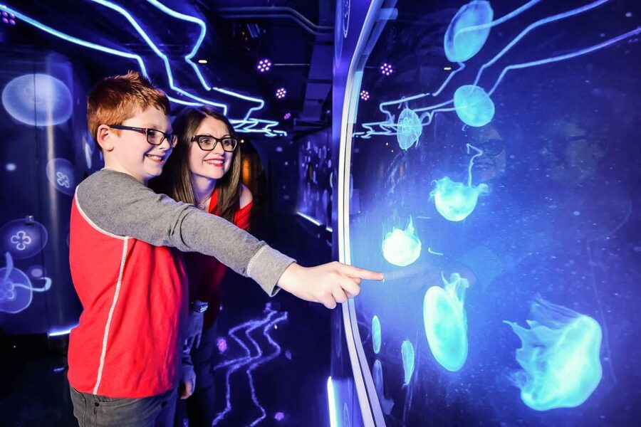 London: SEA LIFE Entry Ticket - Is the $37 price good value?