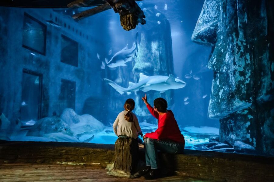 London: SEA LIFE Entry Ticket - Three floors and 65 displays