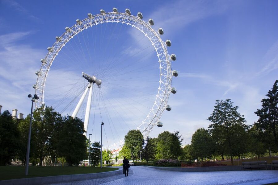London: SEA LIFE & London Eye Combo Ticket - Coral Kingdom and the larger marine displays