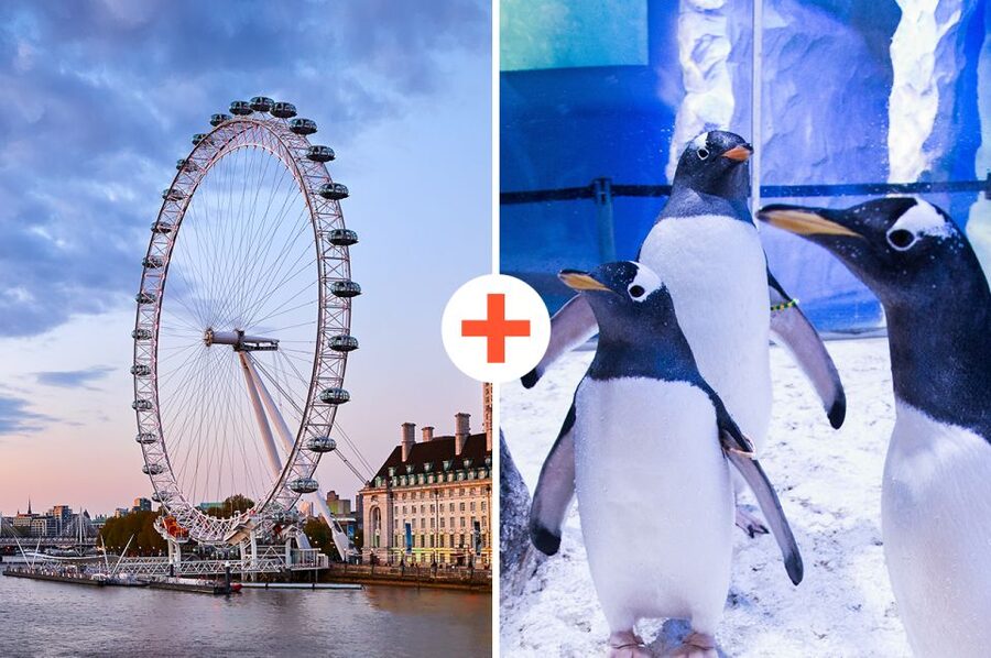 London: SEA LIFE & London Eye Combo Ticket - Starting at SEA LIFE London
