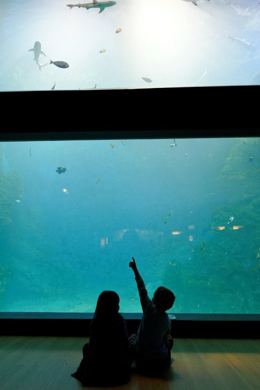 Lyon: Aquarium Entrance Ticket - Starting with European fish at La Confluence
