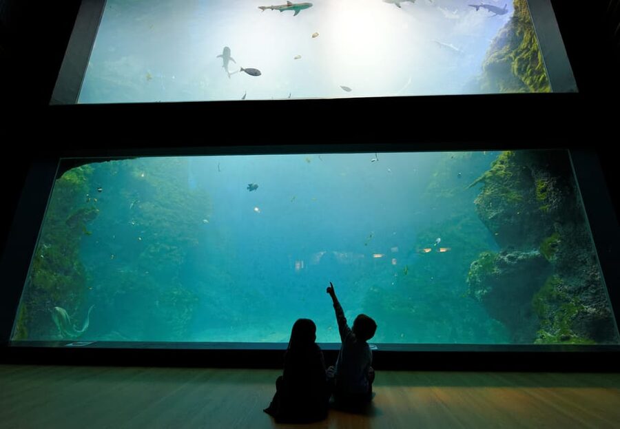 Lyon: Aquarium Entrance Ticket - Who will enjoy this aquarium most
