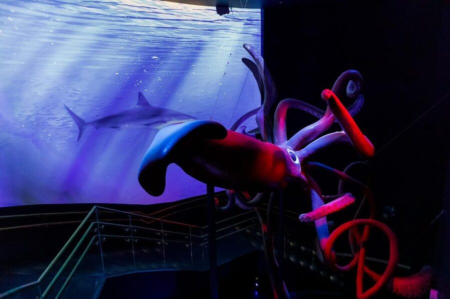 Madrid: Atlantis Aquarium Entry Ticket - Key points to know before you go