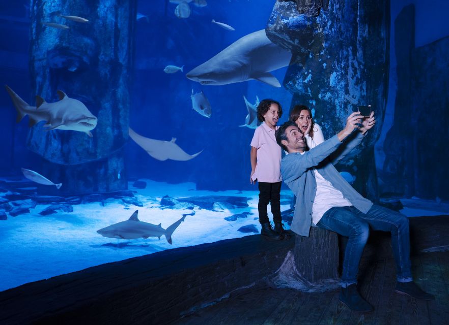 Mall of America: Sea Life Minnesota Aquarium Entry Ticket - Key things to know before you go