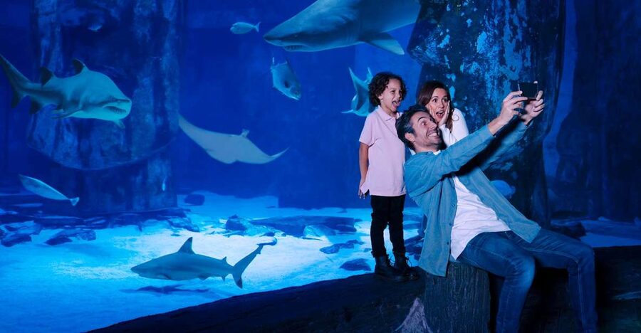 Mall of America: Sea Life Minnesota Aquarium Entry Ticket - The 300-foot Ocean Tunnel