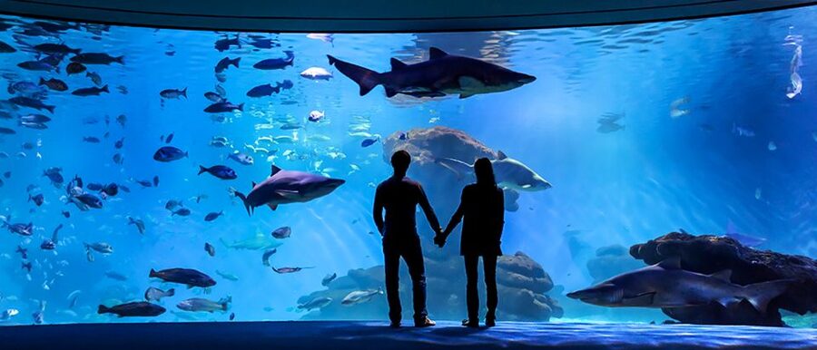 Mallorca: Palma Aquarium Entry Ticket w/ Optional 3D Cinema - Who Should Book Palma Aquarium?
