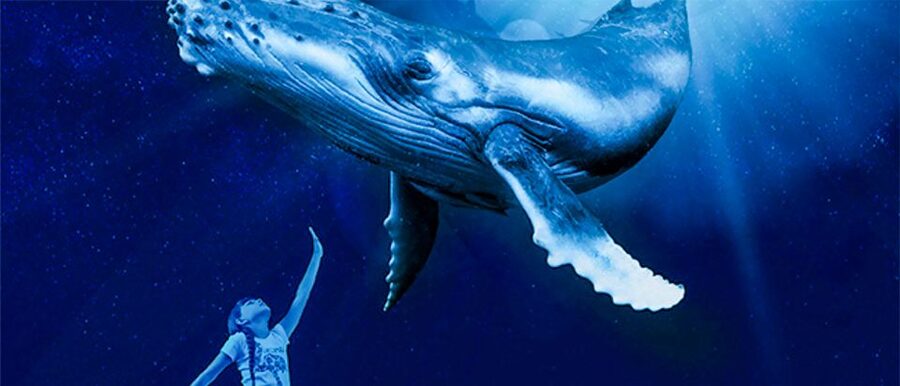 Mallorca: Palma Aquarium Entry Ticket w/ Optional 3D Cinema - Living Corals, Rays, Turtles, and Smaller Marine Life
