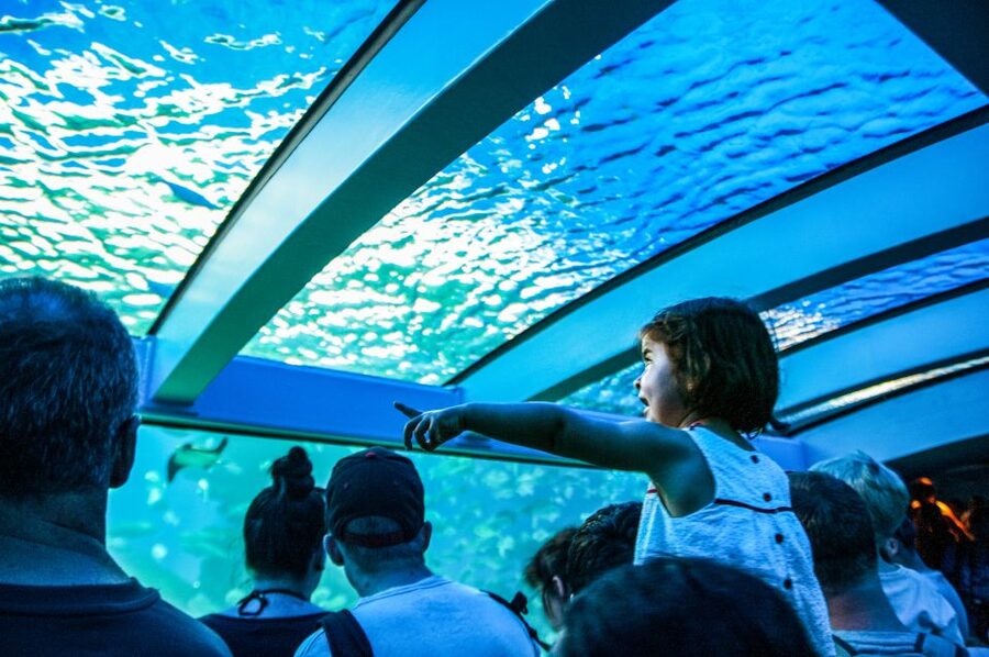Mallorca: Palma Aquarium Entry Ticket w/ Optional 3D Cinema - The Jungle Area and Outdoor Family Features