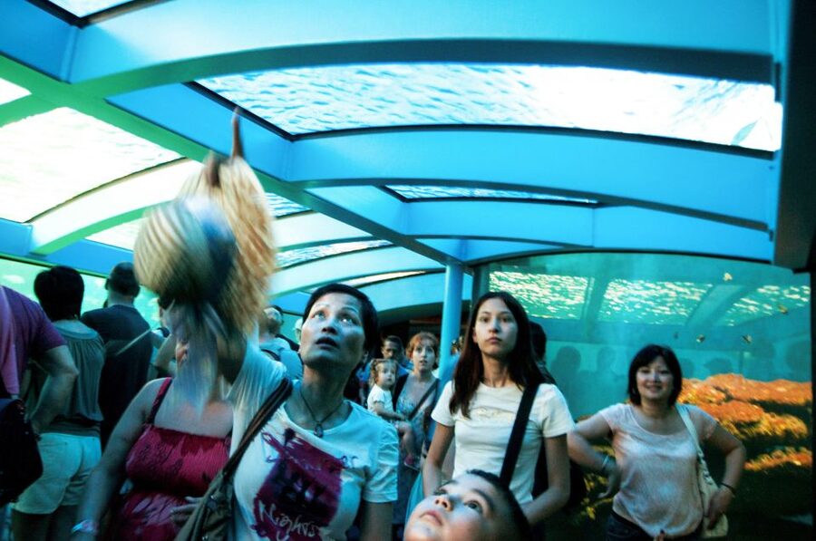 Mallorca: Palma Aquarium Entry Ticket w/ Optional 3D Cinema - Daily Feedings Make the Visit More Active