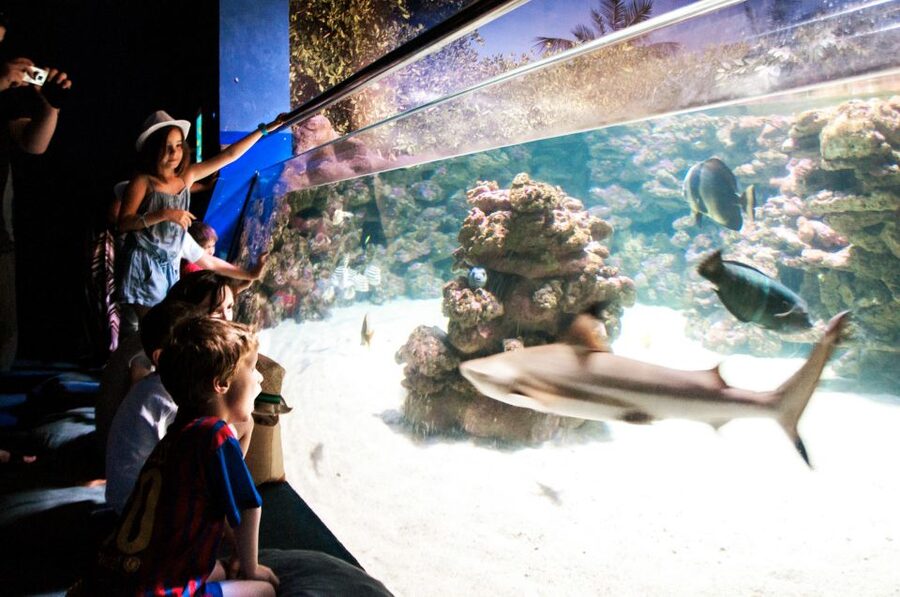 Mallorca: Palma Aquarium Entry Ticket w/ Optional 3D Cinema - Is the Aquadome 3D Cinema Worth Adding?