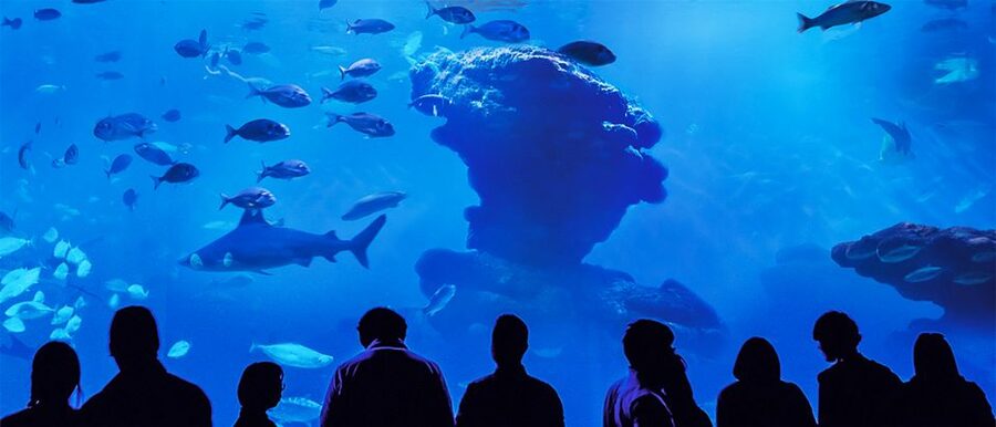 Mallorca: Palma Aquarium Entry Ticket w/ Optional 3D Cinema - Food, Comfort, and Time Needed