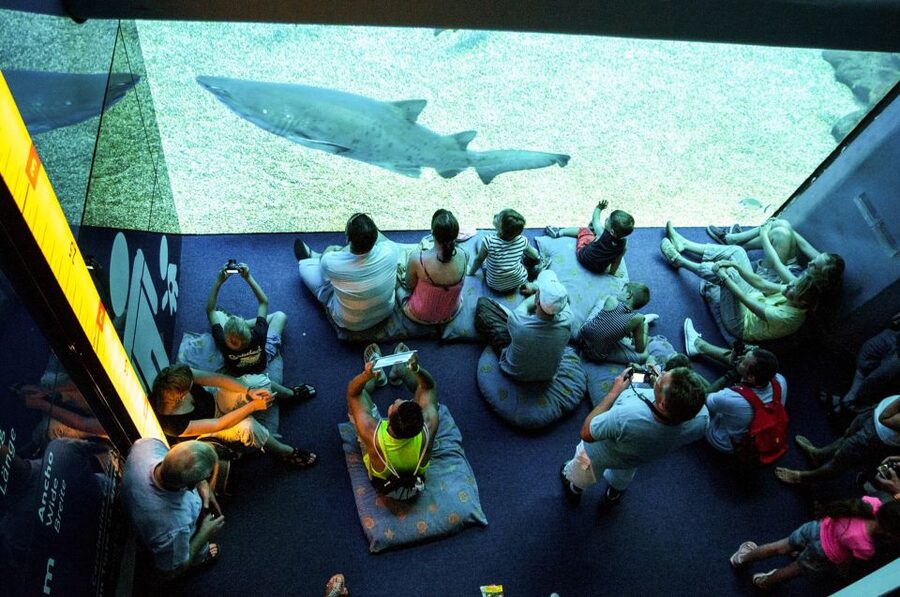 Mallorca: Palma Aquarium Entry Ticket w/ Optional 3D Cinema - What $36 Gets You