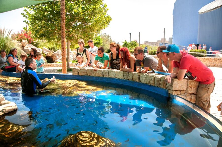 Mallorca: Palma Aquarium with Transfers, Guide & Fast Entry - Should you book Palma Aquarium from Alcúdia?