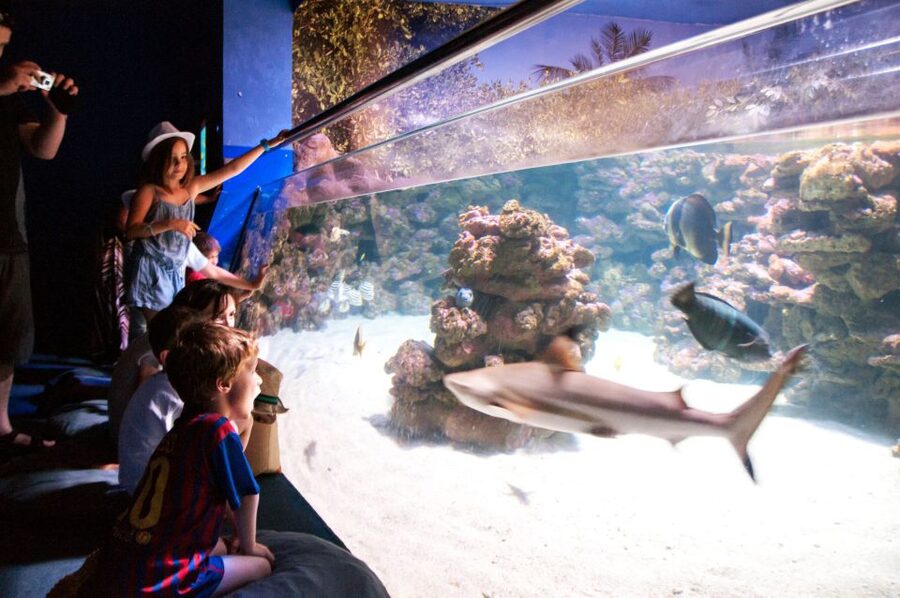 Mallorca: Palma Aquarium with Transfers, Guide & Fast Entry - The 10:00 pickup from Alcúdia
