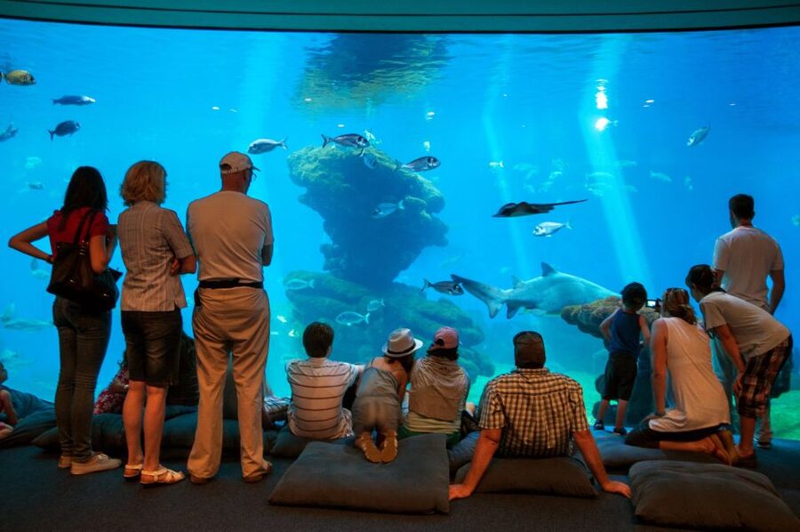 Mallorca: Palma Aquarium with Transfers, Guide & Fast Entry - Mediterranean tanks first